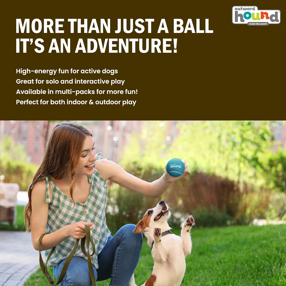 Petstages Squeaker Ballz Toy for Dogs (Blue/Green)