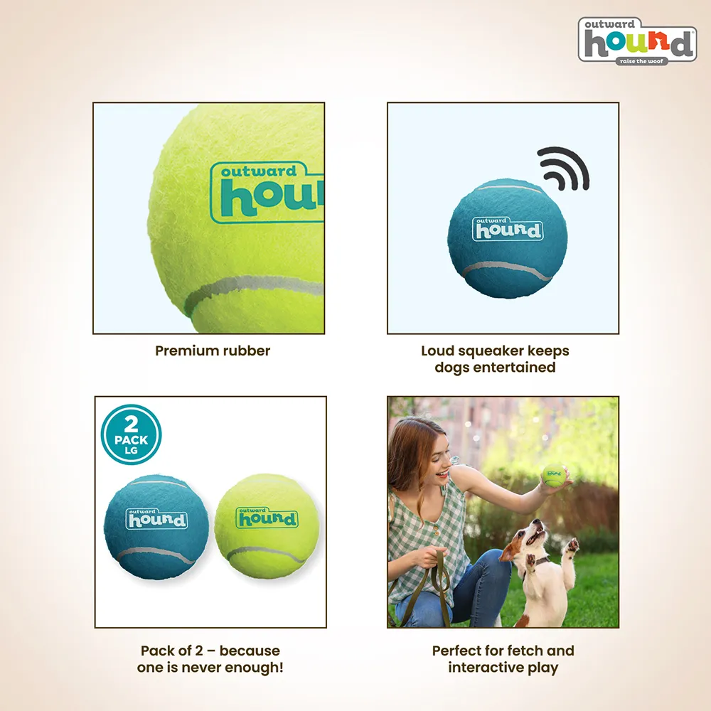 Petstages Squeaker Ballz Toy for Dogs (Blue/Green)