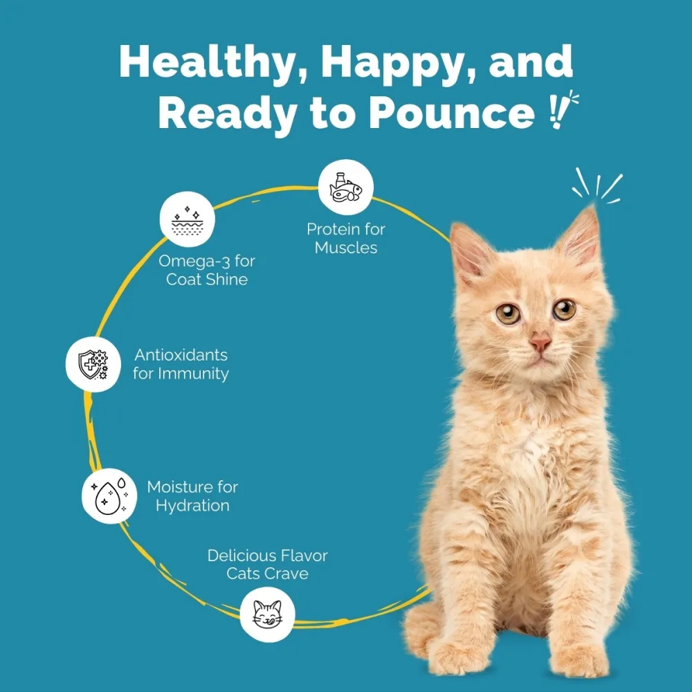 PetStrong Premium Wet Food Variety Pack Combo for Cats