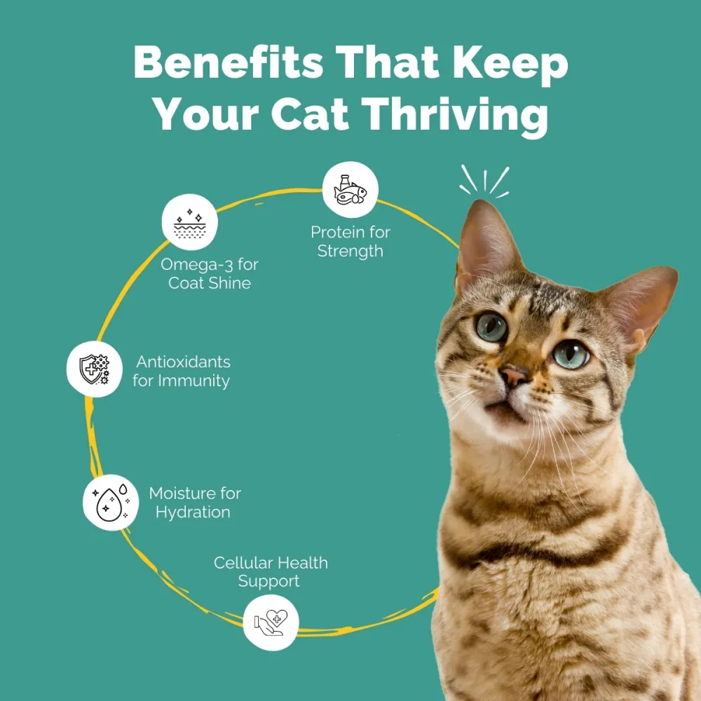 PetStrong Sardine & Mackerel and Seaweed in Gravy Cat Wet Food Combo