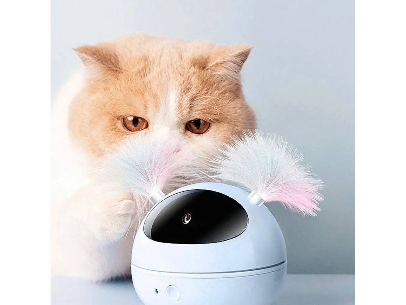 POLARIS Interactive Cat Toy - Blue Pets Qatar