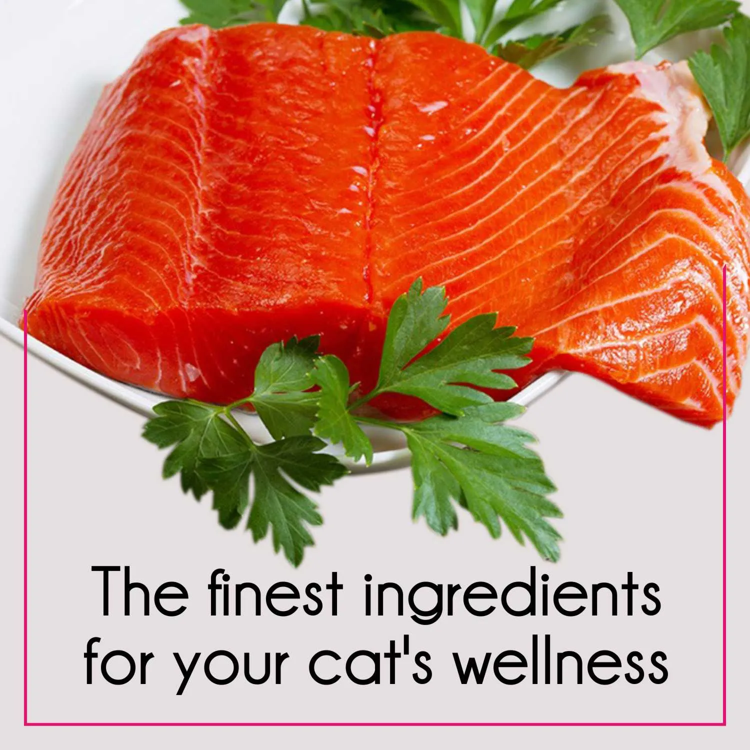 Purepet Mackerel and Ocean Fish Adult Cat Dry Food Combo