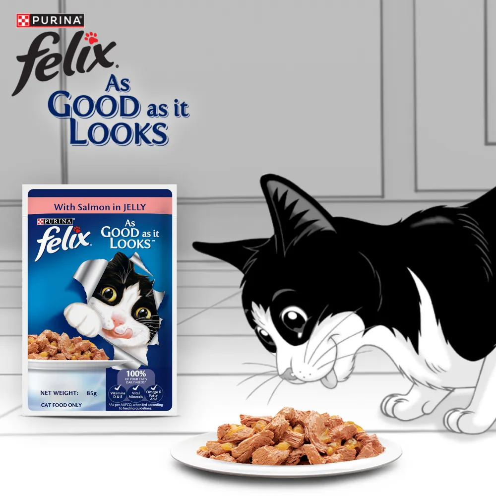 Purina Felix Mackerel, Sardine and Salmon with Jelly Complete and Balanced Adult Cat Wet Food Combo