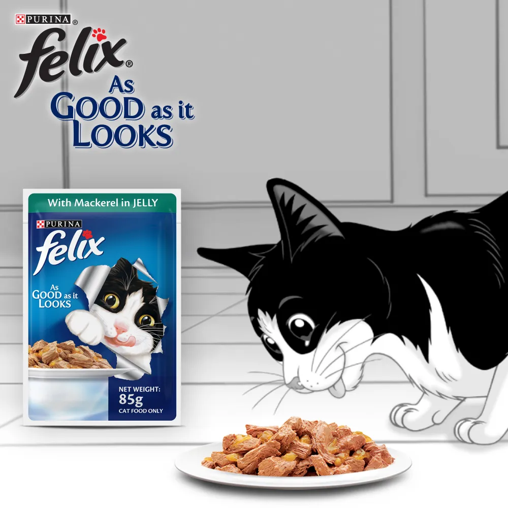 Purina Felix Tuna and Chicken with Jelly Kitten Cat Wet Food Combo