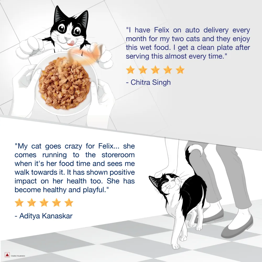 Purina Felix Tuna with Jelly Adult Complete and Balanced Cat Wet Food