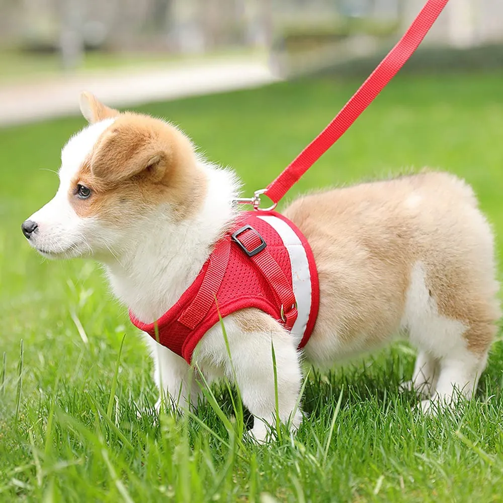 QPets Reflective Mesh Vest Harness with Leash for Dogs and Cats (Red)