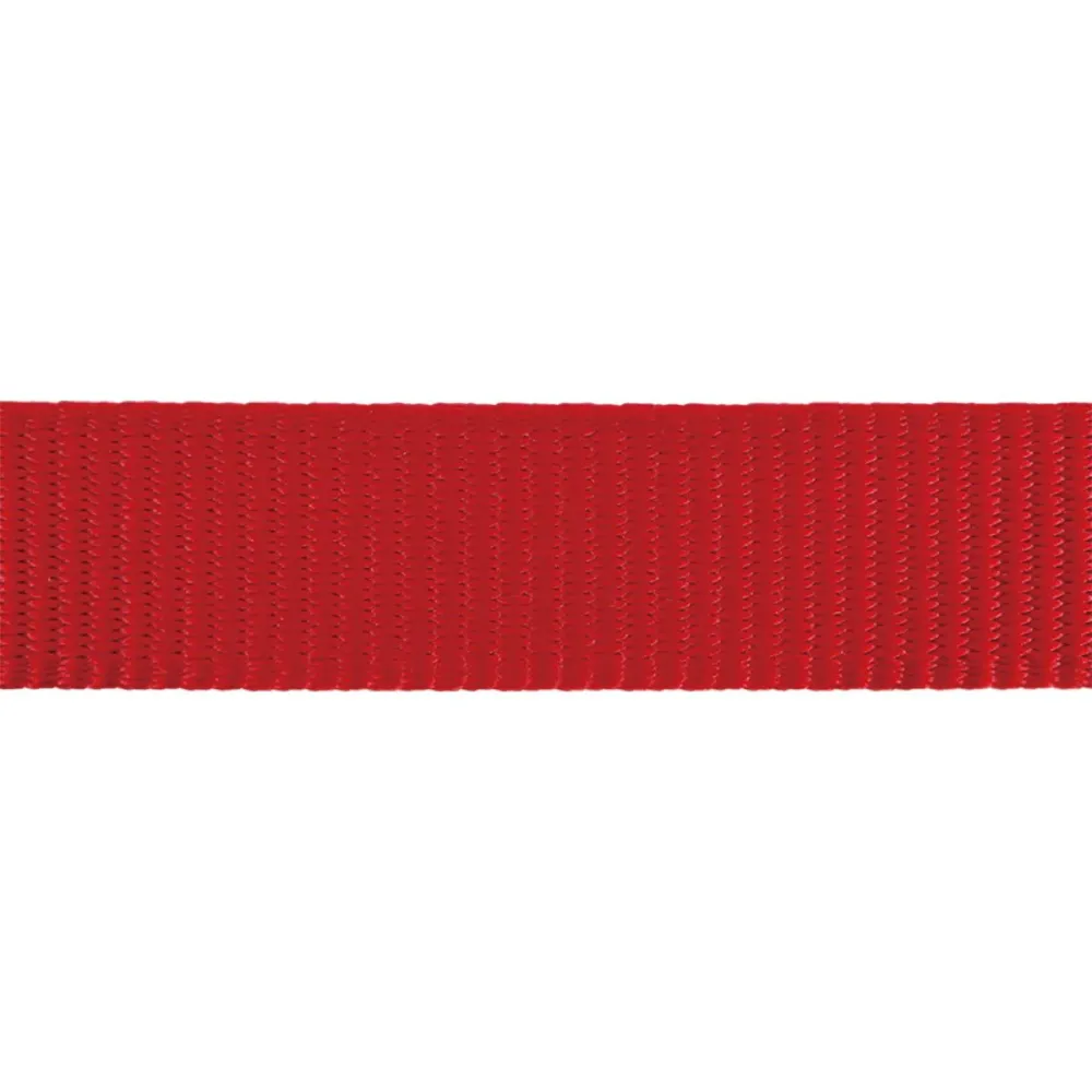 Red Dingo Classic Collar For Cats (Red)