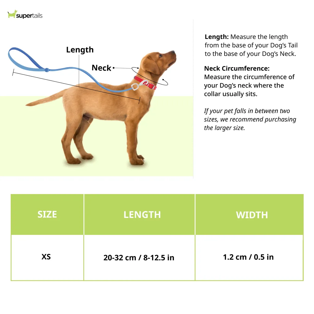 Red Dingo Classic Collar For Cats (Red)
