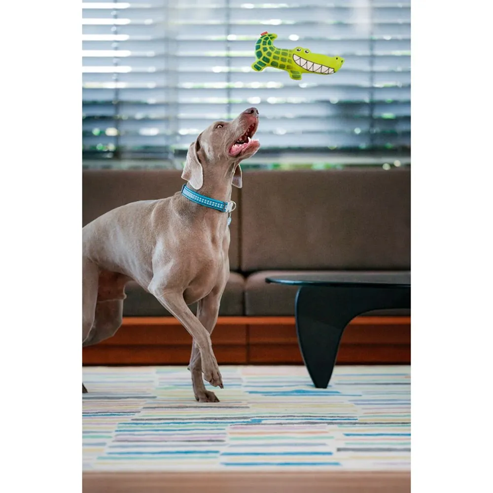Red Dingo Durables Crocodile Fetch Toy For Dogs (Green)