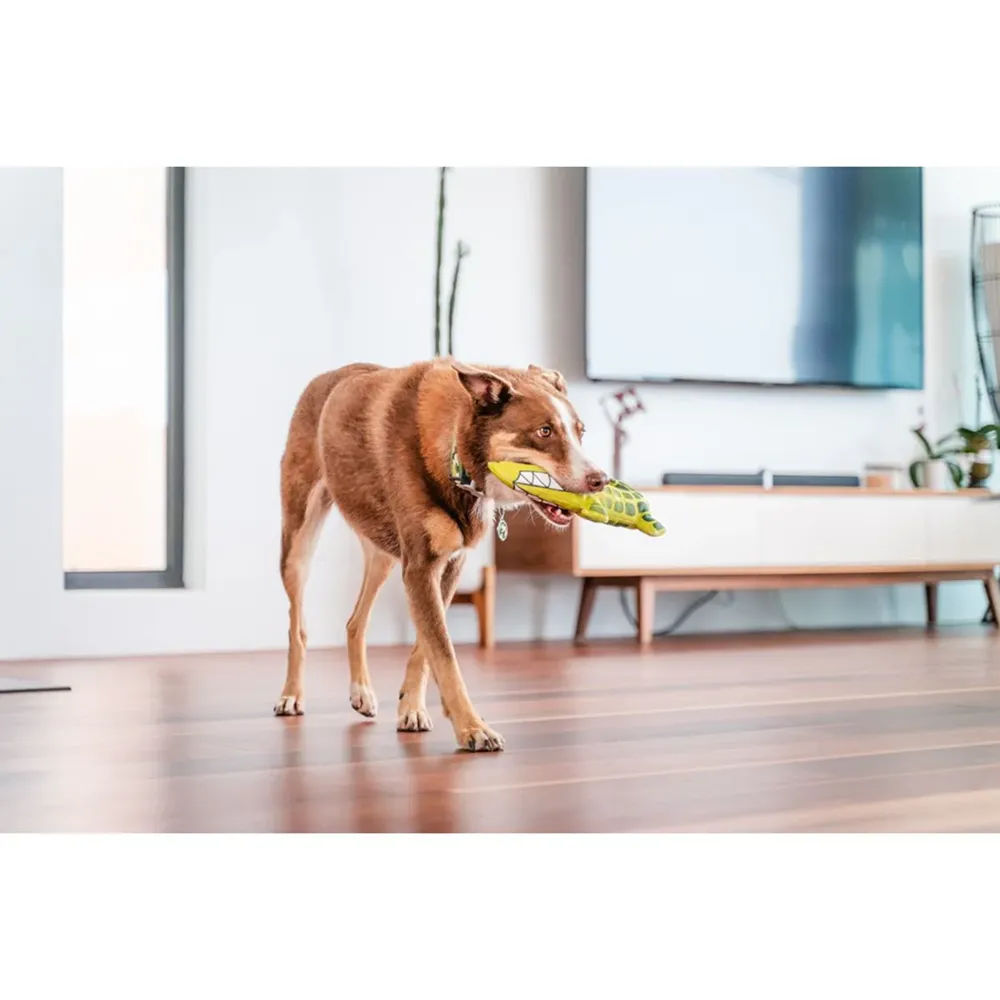 Red Dingo Durables Crocodile Fetch Toy For Dogs (Green)