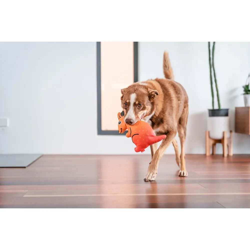Red Dingo Durables Kangaroo Fetch Toy For Dogs (Orange)