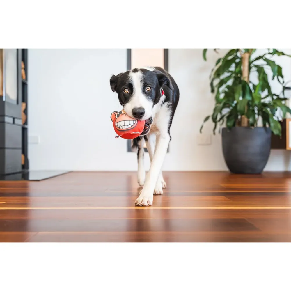 Red Dingo Durables Monkey Ball Toy For Dogs (Red)
