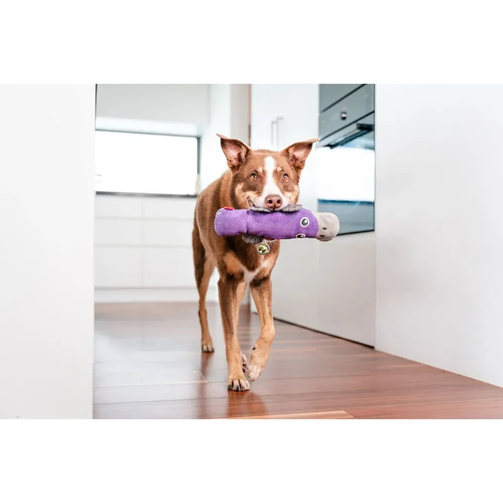 Red Dingo Durables Platypus Fetch Toy For Dogs (Purple)