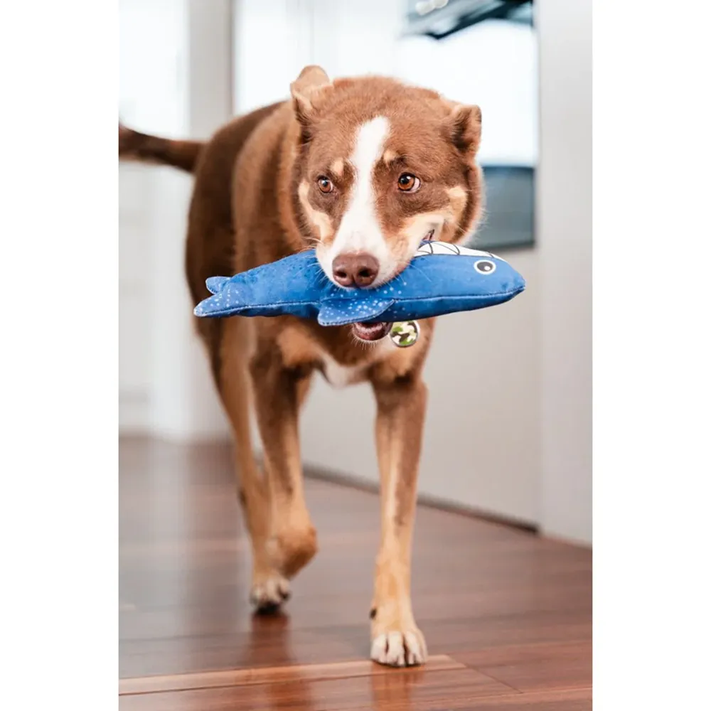 Red Dingo Durables Shark Fetch Toy For Dogs (Dark Blue)