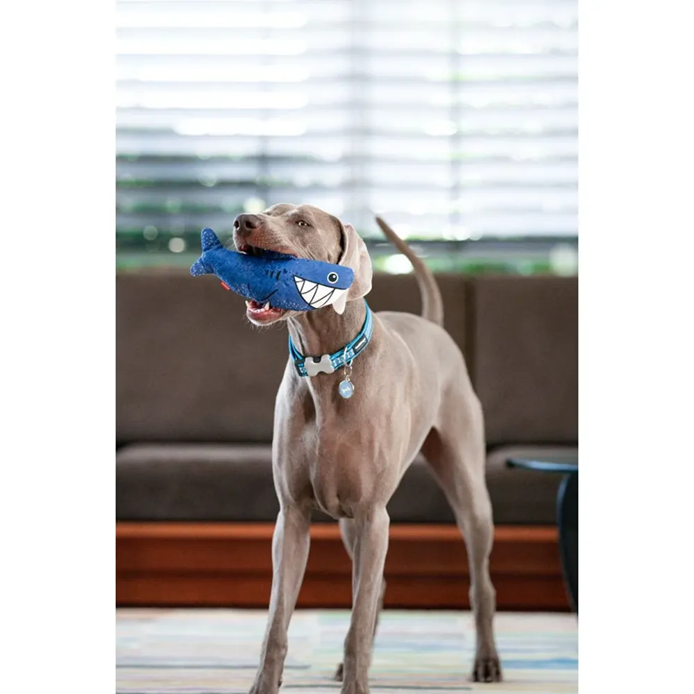 Red Dingo Durables Shark Fetch Toy For Dogs (Dark Blue)