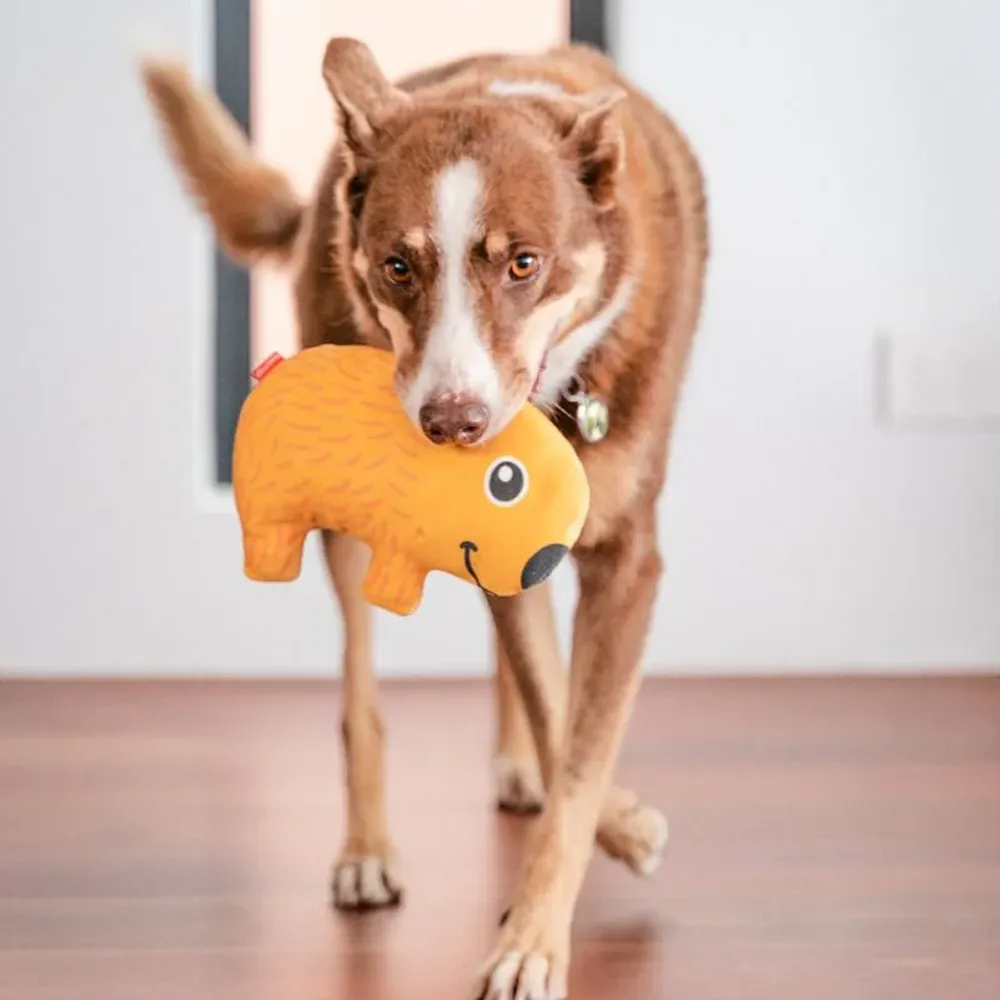 Red Dingo Durables Wombat Fetch Toy For Dogs (Yellow)