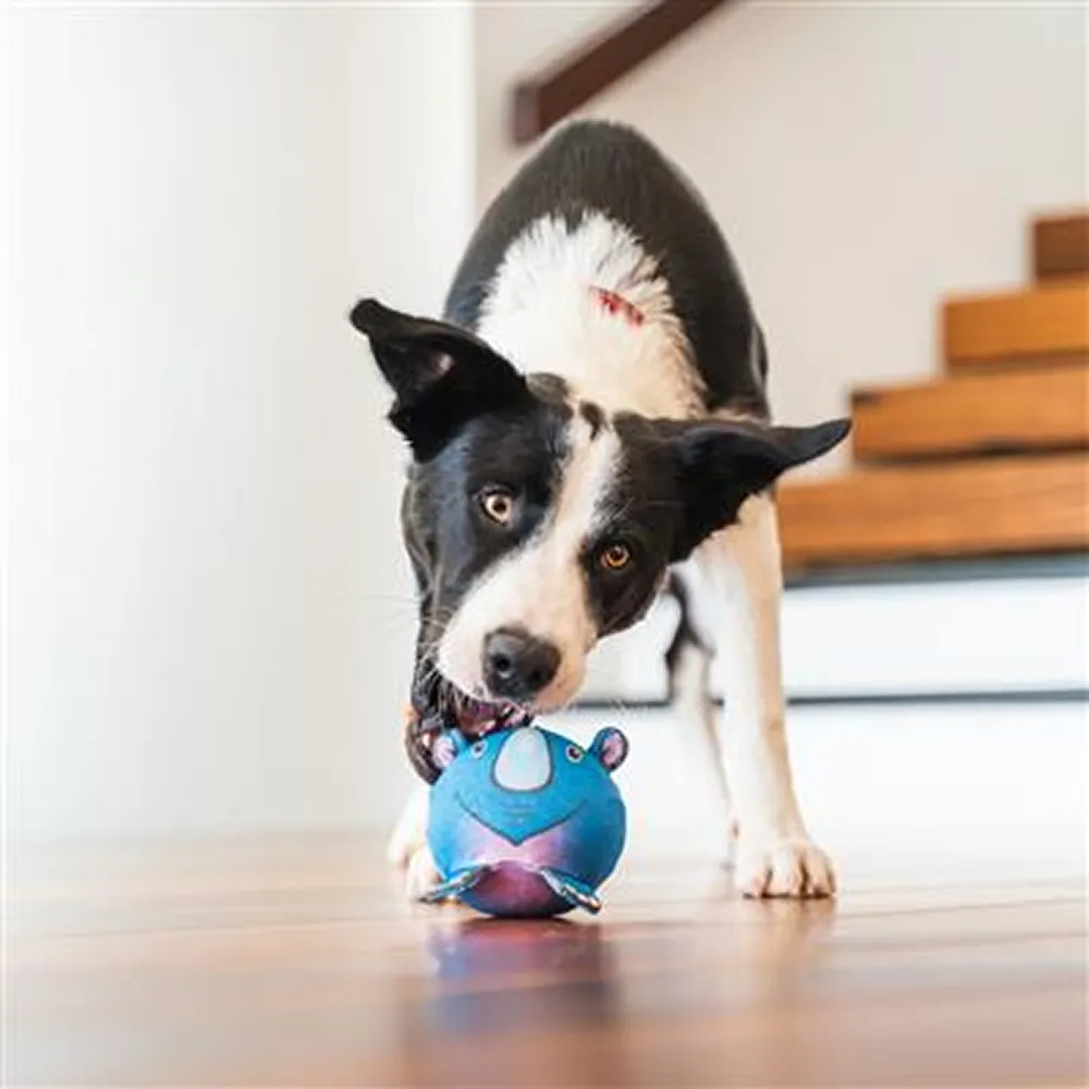 Red Dingo Durables Zebra Ball Toy For Dogs (White)