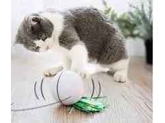 ROLLING Ball Pets Qatar
