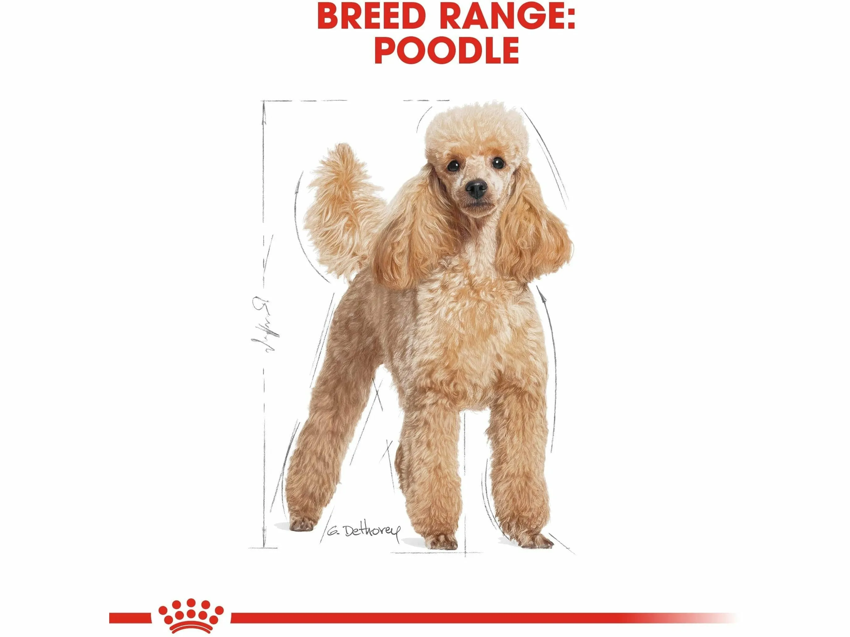 Royal Canin Breed Health Nutrition Poodle Adult (WET FOOD - Pouches)12X85G Pets Qatar