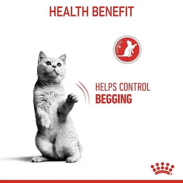 Royal Canin Cat Appetite Control Dry Food 3.5kg ( _ )