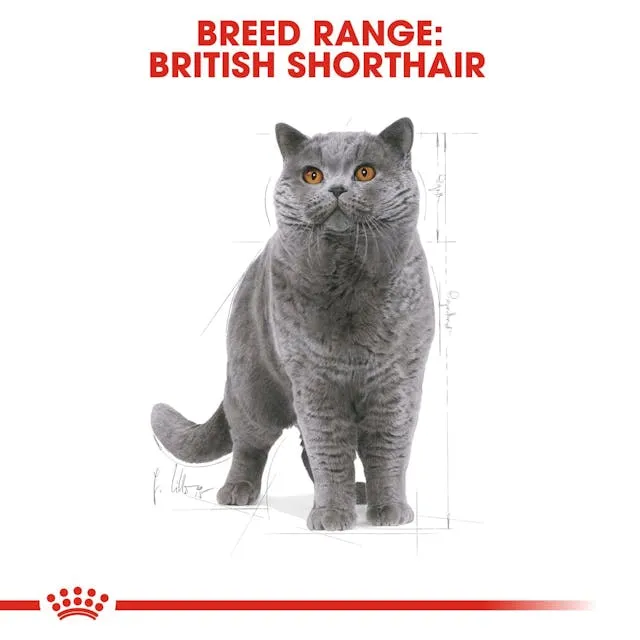 Royal Canin Cat British Shorthair Adult Dry Food 2kg