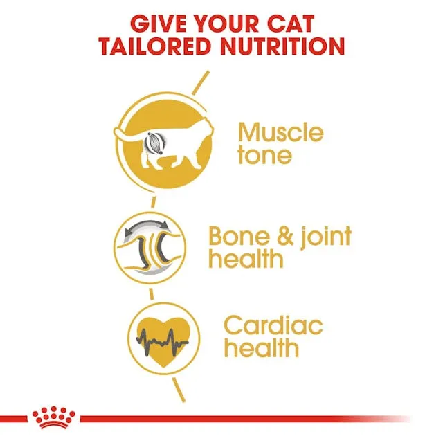 Royal Canin Cat British Shorthair Adult Dry Food 2kg