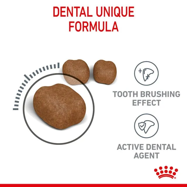 Royal Canin Cat Dental Care Adult Dry Food 8kg ( _ )