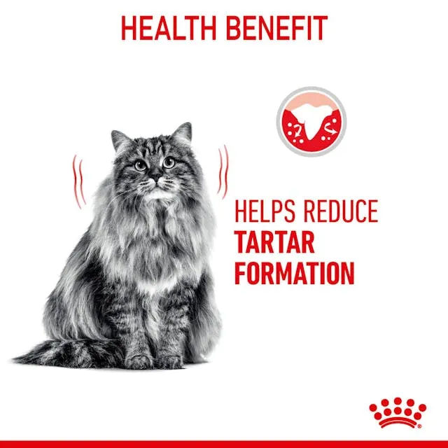 Royal Canin Cat Dental Care Adult Dry Food 8kg ( _ )