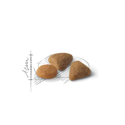 Royal Canin Cat Exigent Savour Adult Dry Food 2kg