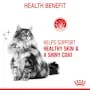 Royal Canin Cat Hair and Skin Care Jelly Adult Wet Food Pouches 85g x 12 ( _ )