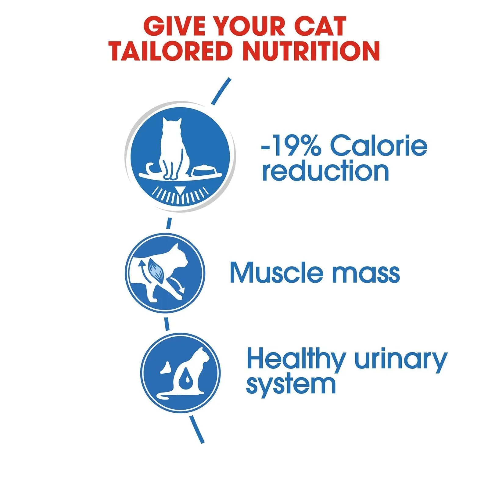 Royal Canin Cat Light Weight Care with Jelly Adult Wet Food Pouches 85g x 12 ( _ )