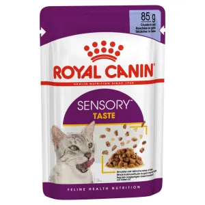 Royal Canin Cat Sensory Taste Jelly Adult Wet Food Pouch 85g