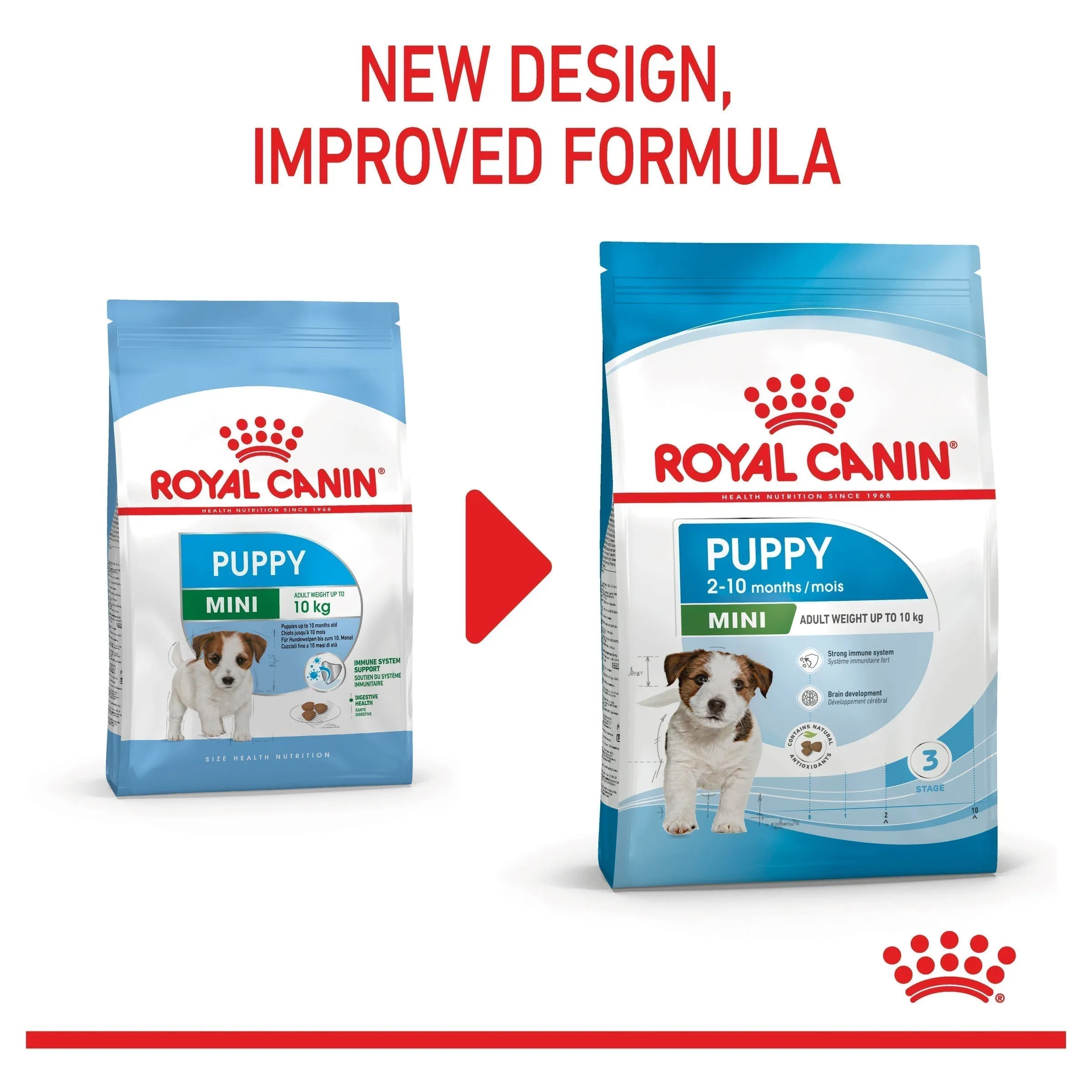 Royal Canin Dog Mini Puppy Dry Food 8kg