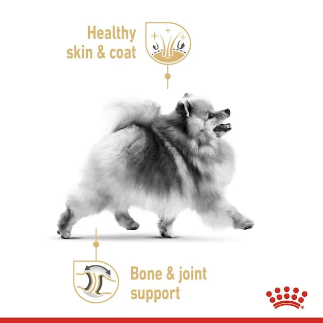 Royal Canin Dog Pomeranian Adult Wet Food Pouch 85g