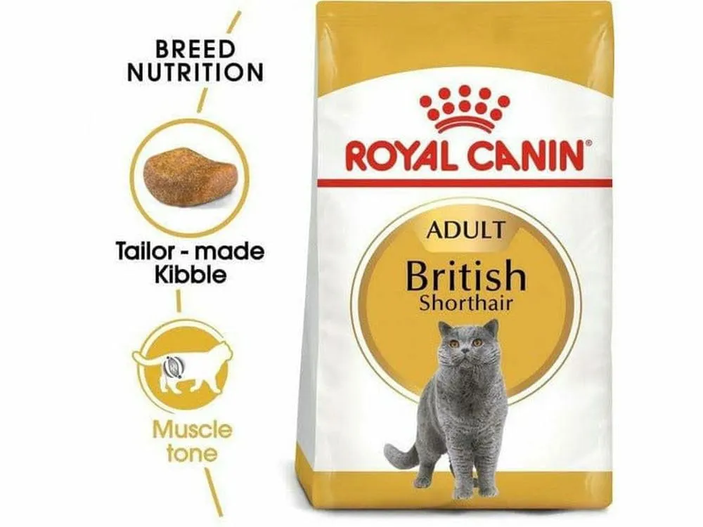 Royal Canin FBN British Shorthair 4kg Pets Qatar