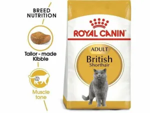Royal Canin FBN British Shorthair 4kg Pets Qatar