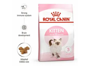 Royal Canin Feline Health Nutrition Kitten 2 KG Pets Qatar