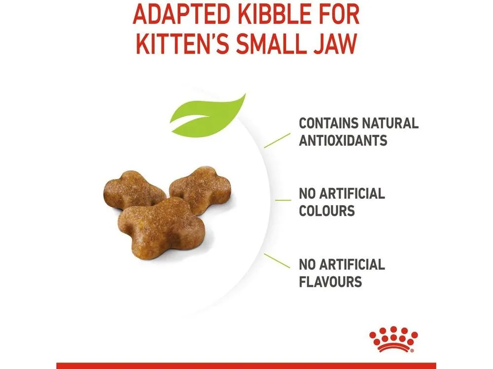 Royal Canin Feline Health Nutrition Kitten 2 KG Pets Qatar
