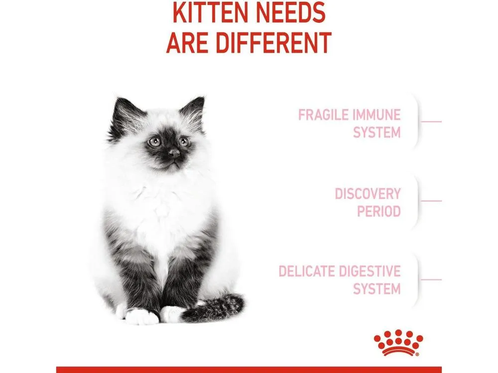 Royal Canin Feline Health Nutrition Kitten 2 KG Pets Qatar