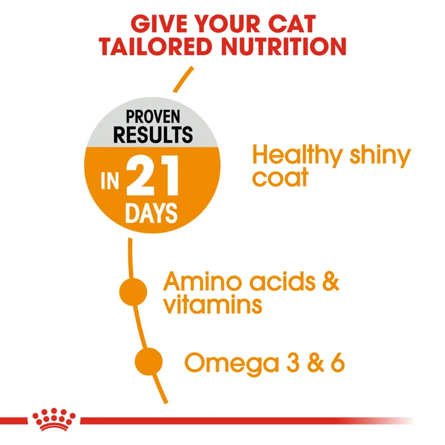 Royal Canin Hair & Skin Care and Hairball Care Adult Cat Dry Food Combo