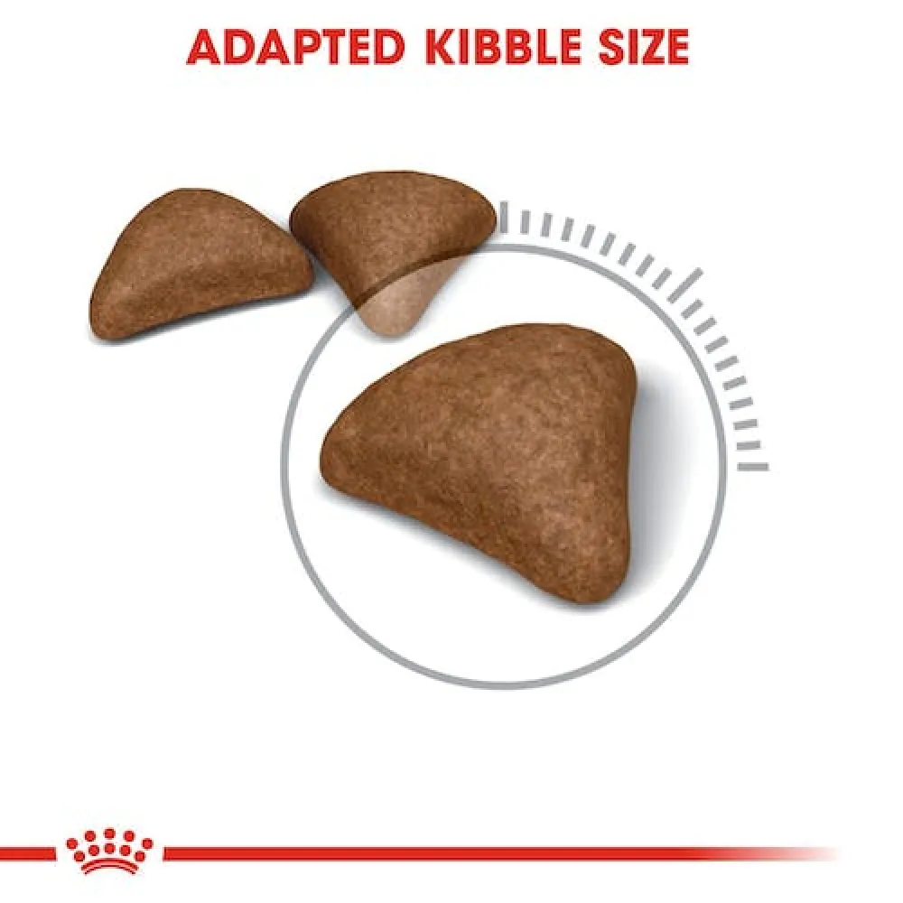 Royal Canin Hair & Skin Care and Hairball Care Adult Cat Dry Food Combo