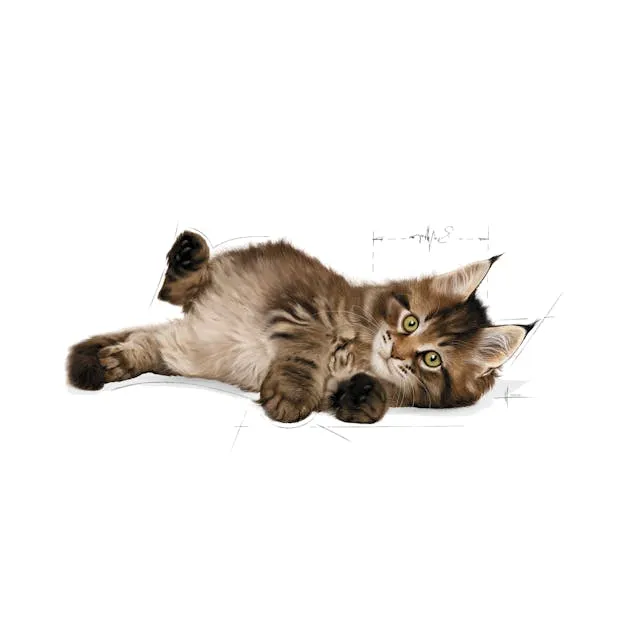 Royal Canin Maine Coon Kitten Dry Food 2kg