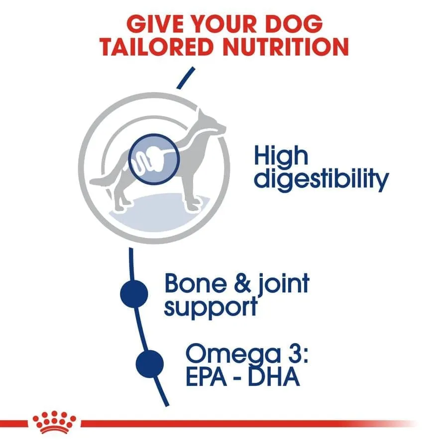 Royal Canin Maxi Adult Dog Dry and Wet Food Combo