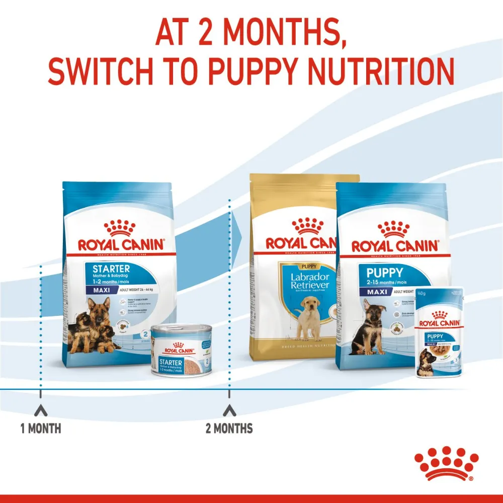 Royal Canin Maxi Starter Dry Dog Food