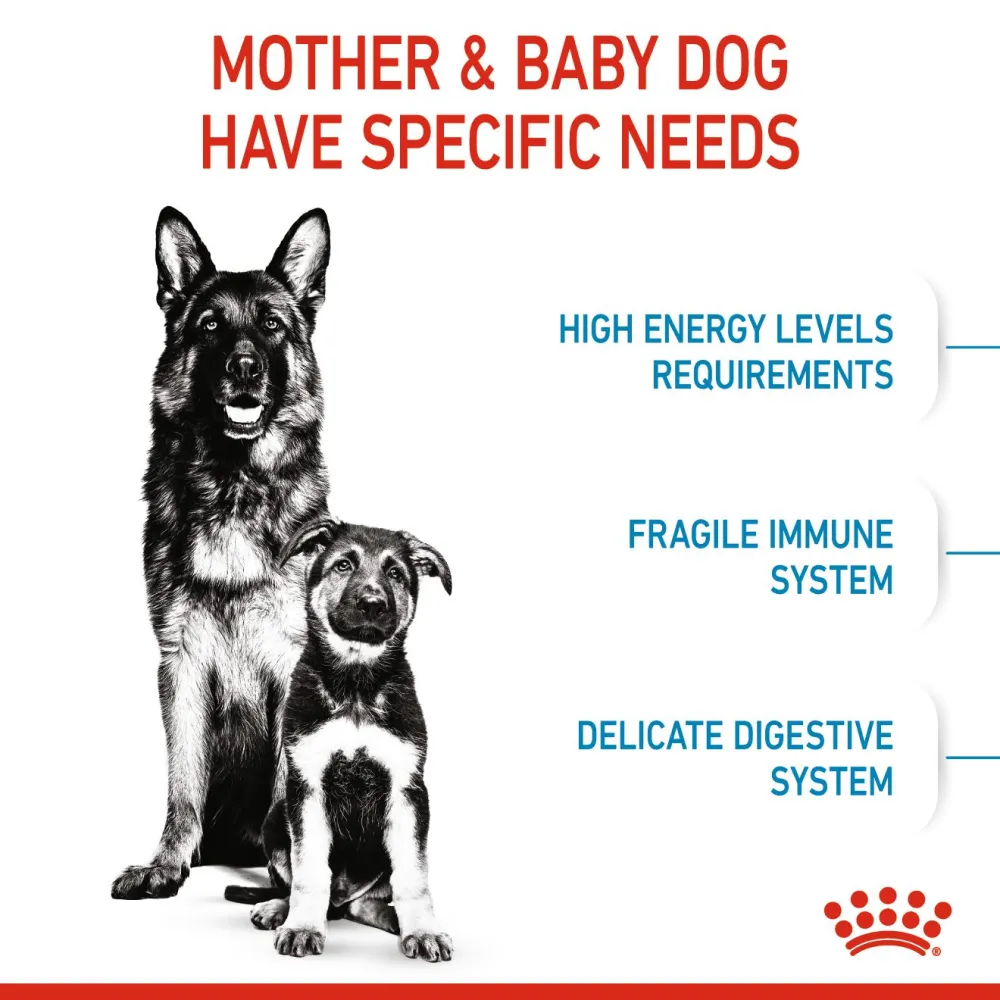 Royal Canin Maxi Starter Dry Dog Food