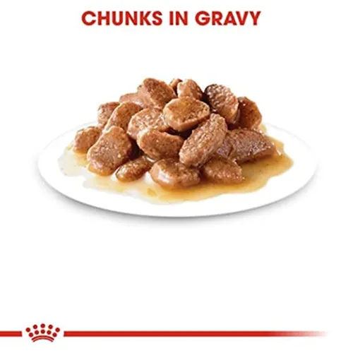 Royal Canin Sterilised 37 and Sterilised Gravy Adult Cat Wet Food Combo