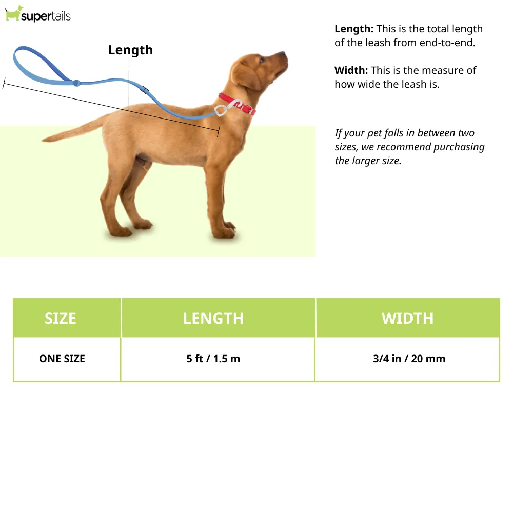 Ruffwear Front Range Leash for Dogs (Red Sumac)