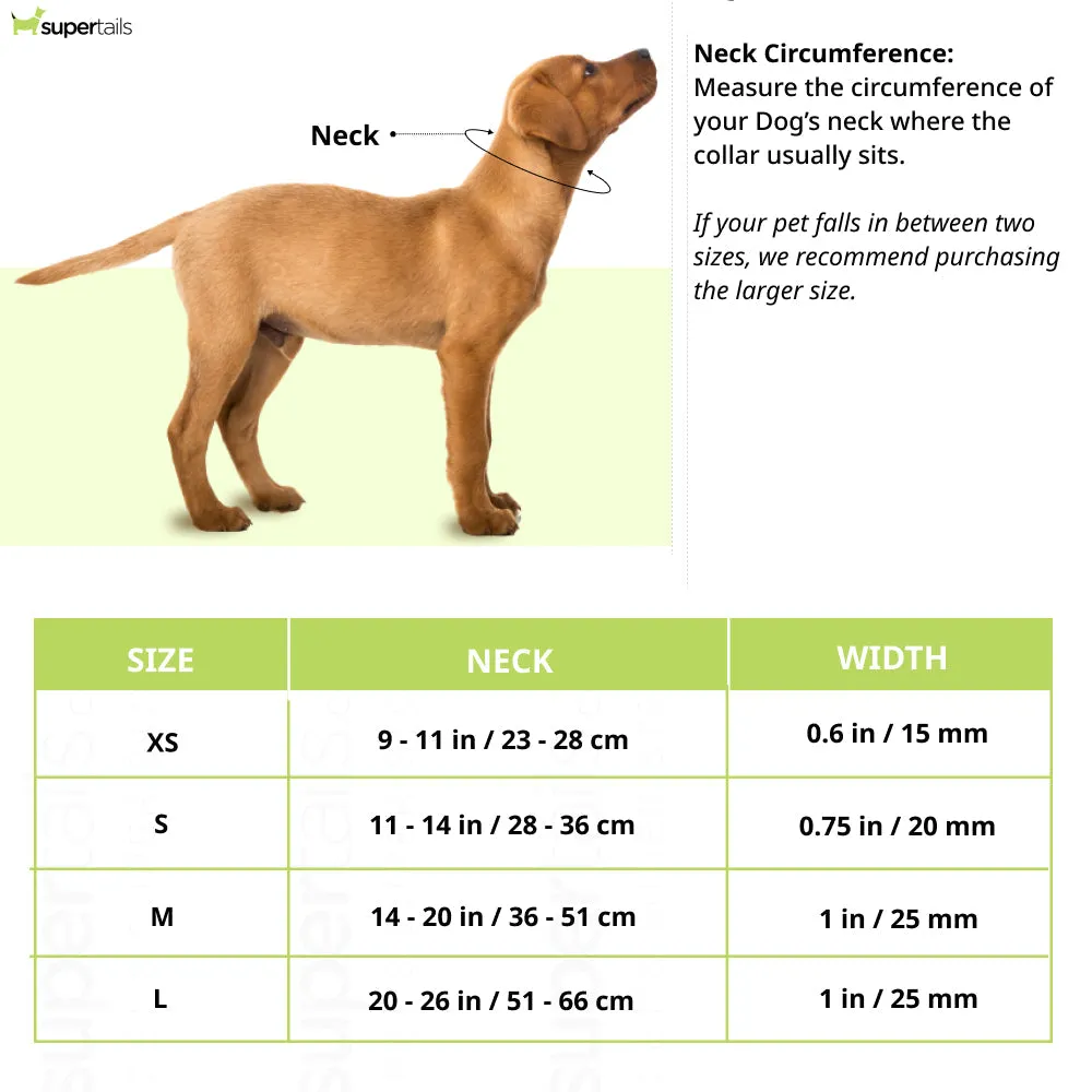Ruffwear Hi & Light Lightweight Collar for Dogs (Sage Green)