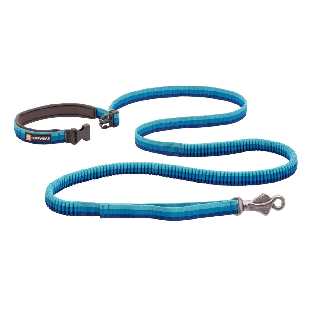 Ruffwear Roamer Bungee Leash for Dogs (Blue Atoll)