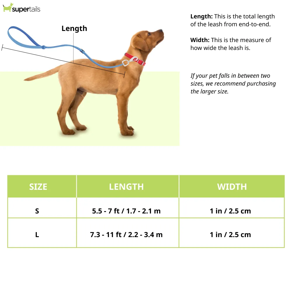 Ruffwear Roamer Bungee Leash for Dogs (River Rock)